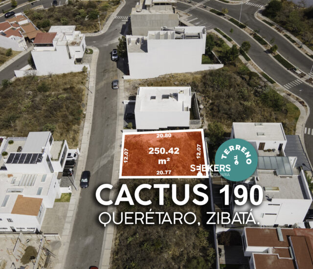 CACTUS 190