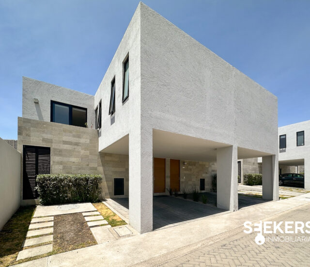CASA VANGOGH-19