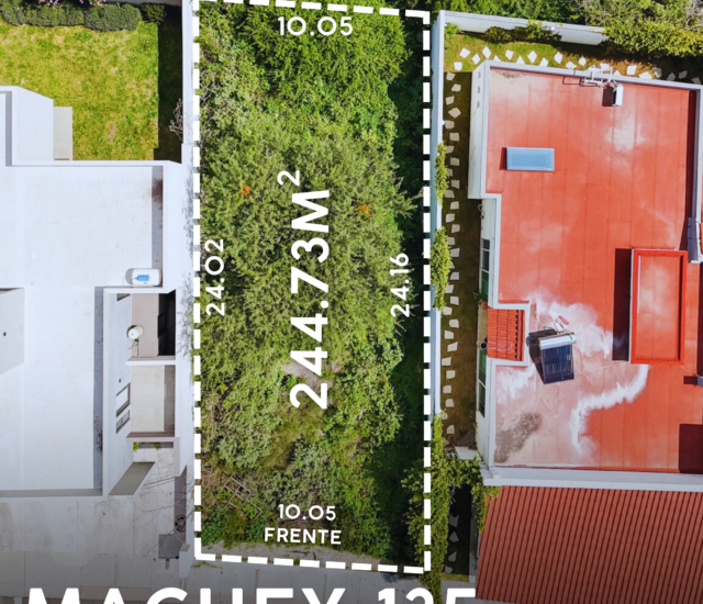 MAGUEY 135 (2)