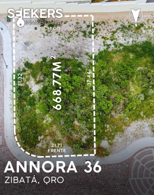 ANNORA 36