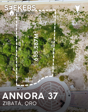 ANNORA 37 (2)