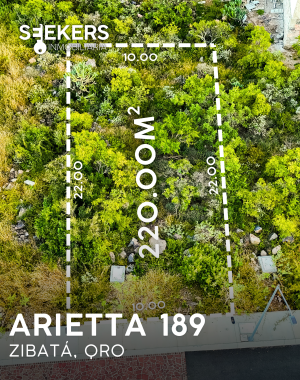 ARIETTA 189