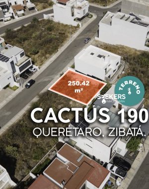 CACTUS 190-3
