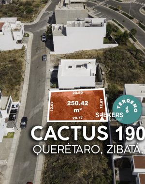 CACTUS 190