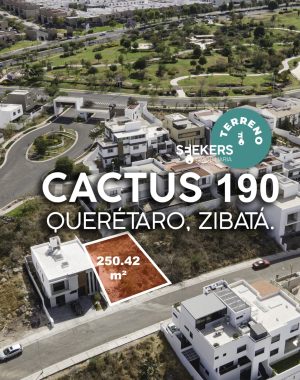 CACTUS 1902
