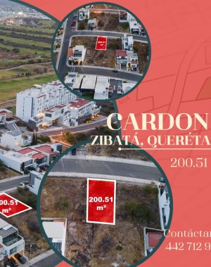 CARDON 11