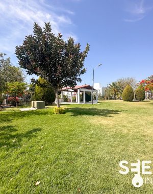 CASA ABEJA(15)