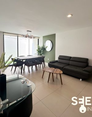 CASA ANKARA AMUEBLADA (12)