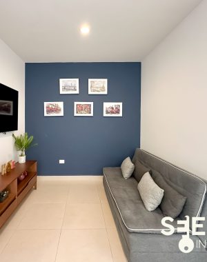 CASA ANKARA AMUEBLADA (5)