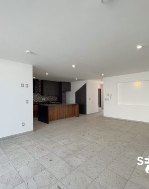 CASA BELGICA-4