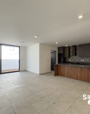 CASA BELGICA-5