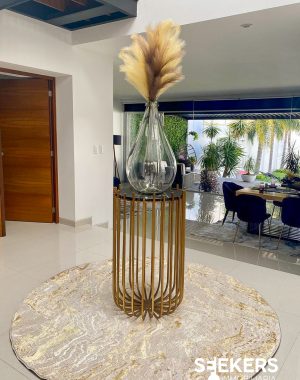 CASA DARWIN-4