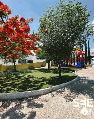 CASA PEKIN (31)