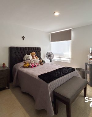 CASA SALVADOR-5