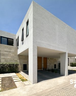 CASA VANGOGH-19