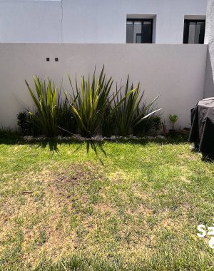 CASA VANGOGH-7