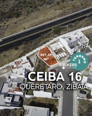 CEIBA 16-1