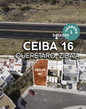 CEIBA 16-2