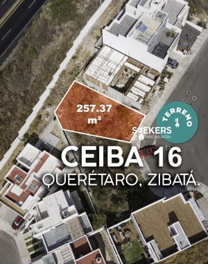 CEIBA 16-3