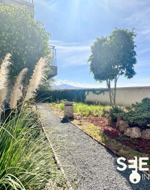 DEPA LOMAS DE SAN JUAN(10)