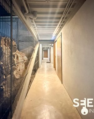 DEPA LOMAS DE SAN JUAN(16)