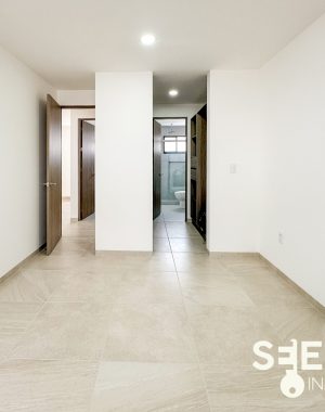 DEPA LUCASTA 66(10)
