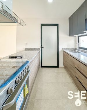 DEPA LUCASTA 66(11)