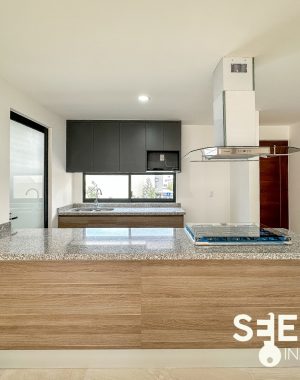DEPA LUCASTA 66(2)