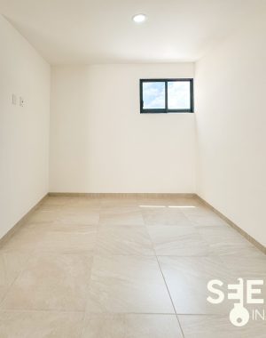 DEPA LUCASTA 66(8)