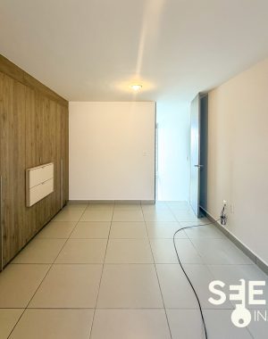 DEPA MEZQUITE 234(1)