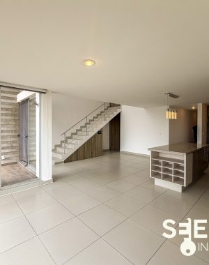 DEPA MEZQUITE 234(6)