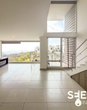 DEPA MEZQUITE 234(9)