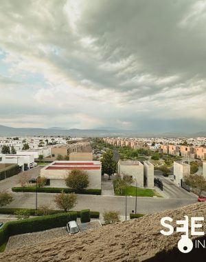 IMG_6915