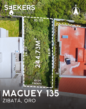 MAGUEY 135 (2)