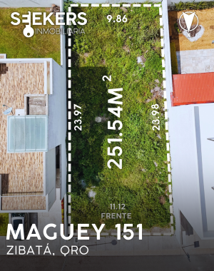 MAGUEY 151