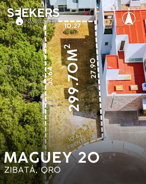 MAGUEY 20 (3)