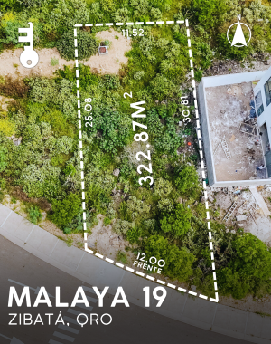 MALAYA 19