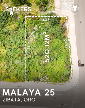 MALAYA 25