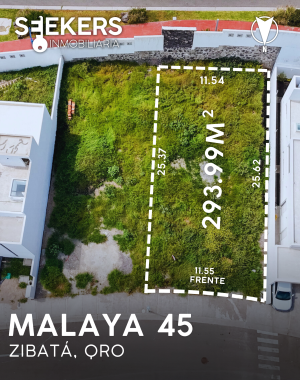 MALAYA 45 (2)