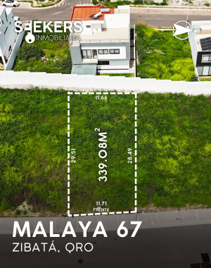 MALAYA 67 (3)