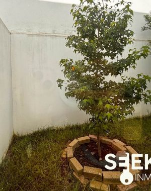 SUREM ENTRECIELOS (26)