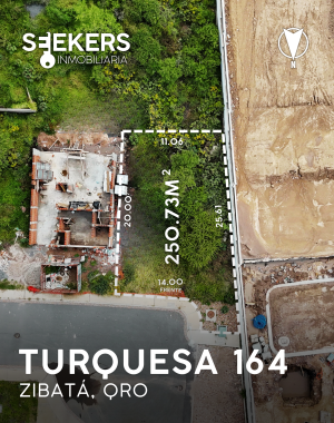 TURQUESA 164 (3)
