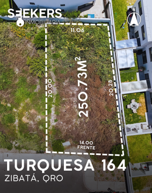 TURQUESA 164
