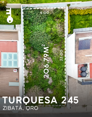 TURQUESA 245