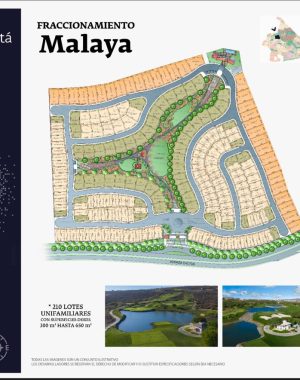 Terreno Malaya 66 (1)