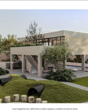 WhatsApp Image 2025-10-08 at 12.54.21 PM (1)