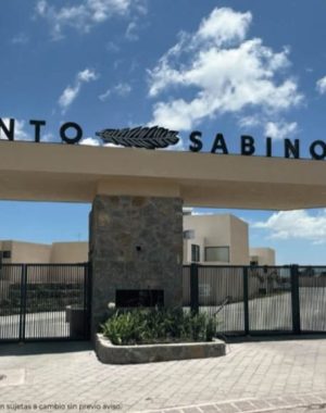 WhatsApp Image 2025-10-08 at 12.54.21 PM