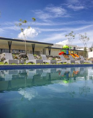 WhatsApp Image 2026-01-21 at 11.11.56 AM