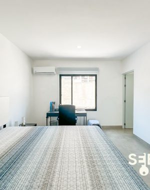 casa sao paulo -15